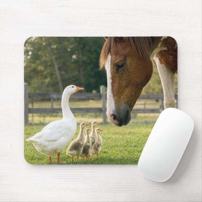 Mousepad Ganso Branco com Gansinhos e Cavalo (Com mouse)