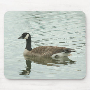 Mousepad Ganso canadense