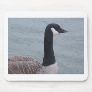 Mousepad Ganso canadense em um lago