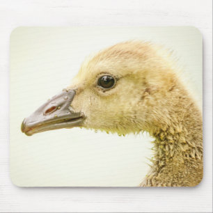 Mousepad Ganso Canadense (Gosling)
