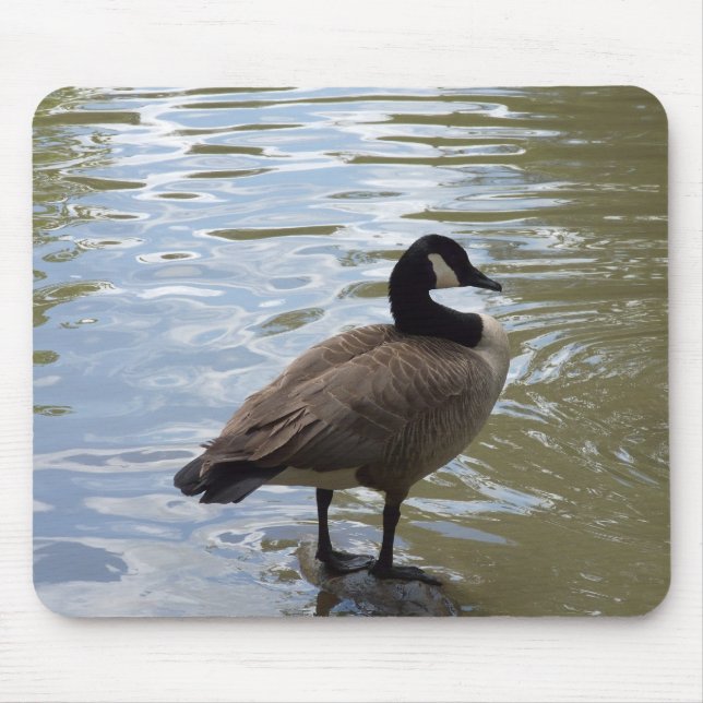 Mousepad Ganso de Canadá na rocha (Frente)