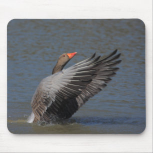 Mousepad Ganso de pato bravo europeu