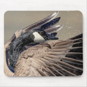 Mousepad Ganso do Canadá