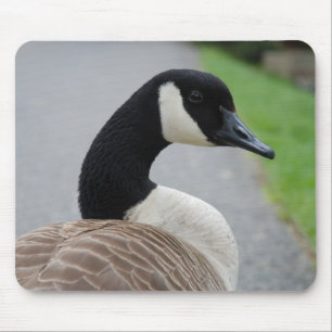 Mousepad Ganso do Canadá