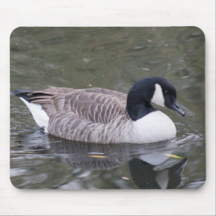 Mousepad Ganso do Canadá
