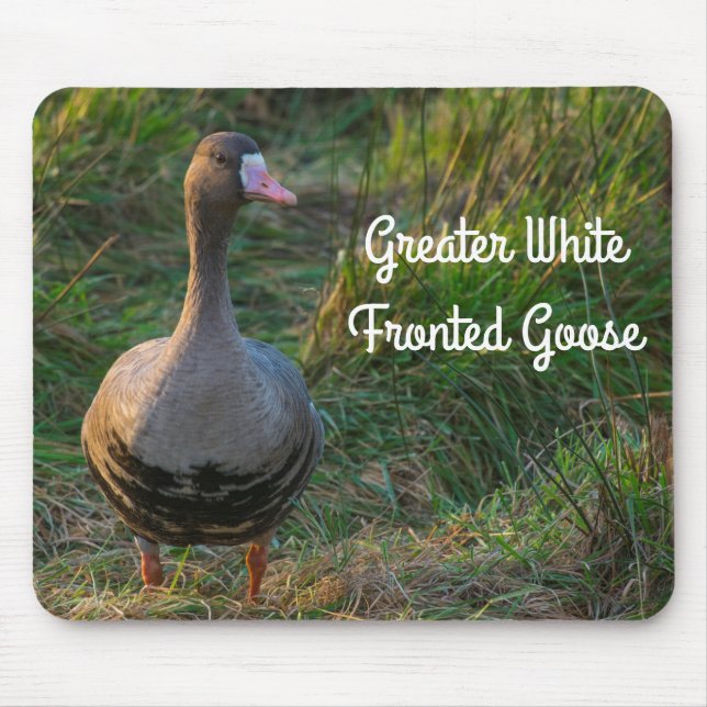 Mousepad Ganso Maior Frontal Branco (Frente)