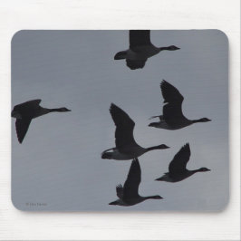 Mousepad Gansos B46 canadenses em vôo