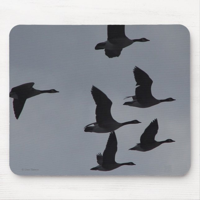 Mousepad Gansos B46 canadenses em vôo (Frente)