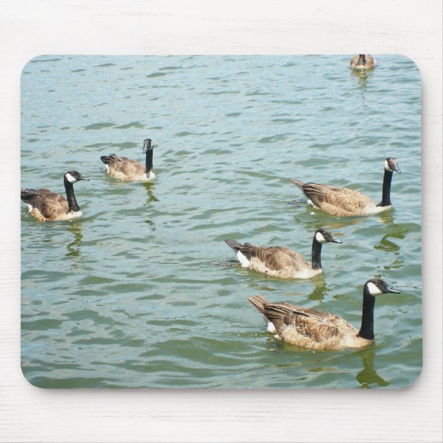 Mousepad Gansos canadenses (Frente)