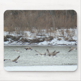 Mousepad Gansos canadenses B7 em voo