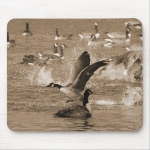 Mousepad Gansos de Canadá