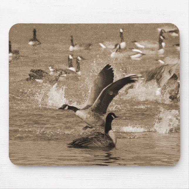 Mousepad Gansos de Canadá (Frente)