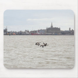 Mousepad Gansos Selvagens