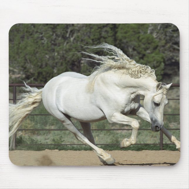 Mousepad Garanhão Andaluz correndo, PR (Frente)