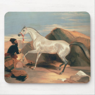 Mousepad Garanhão árabe