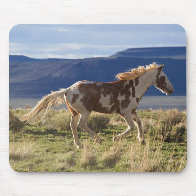 Mousepad Garanhão Correndo, Montanhas Steens, Oregon (Frente)
