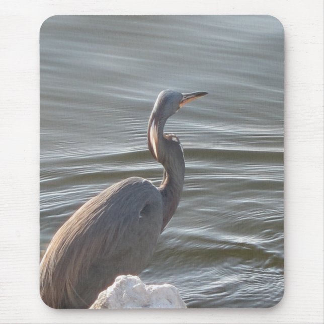 Mousepad Garça Azul Grande junto à Água (Frente)