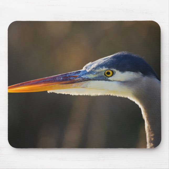 Mousepad Garça-azul-grande, retrato aproximado (Frente)