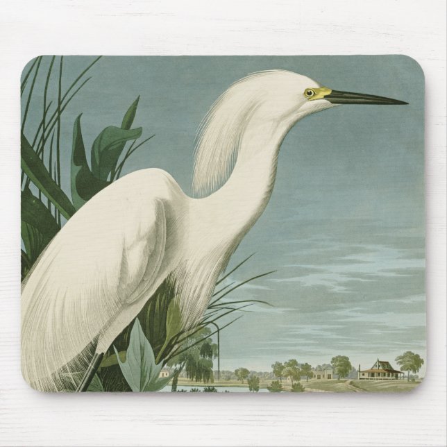 Mousepad Garça Branca da Audubon Ave Birdismo (Frente)