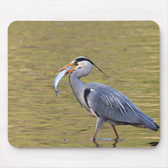 Mousepad Garça-real cinzenta (Frente)