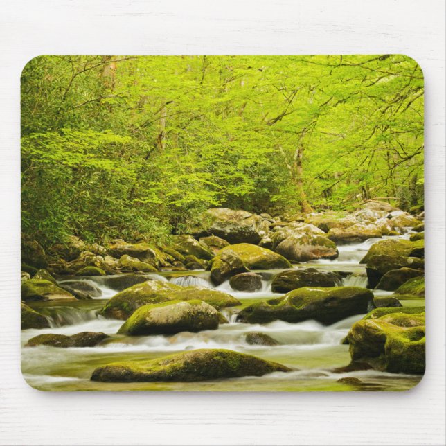 Mousepad Garfo de Corda em Primavera (Frente)