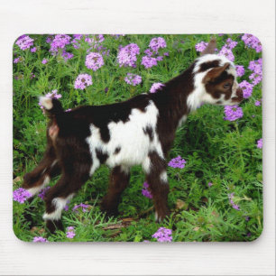 Mousepad Garoto anão nigeriano pisca em flores roxas