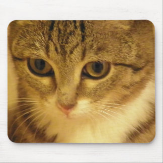 Mousepad gatinho