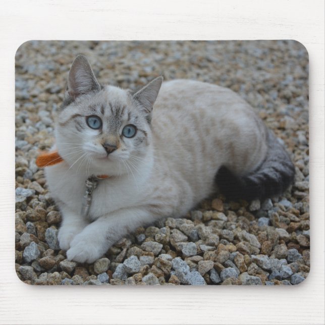 Mousepad Gatinho (Frente)