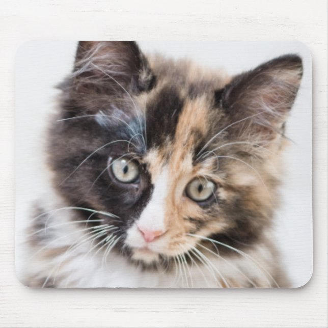 Mousepad Gatinho adorável da chita (Frente)