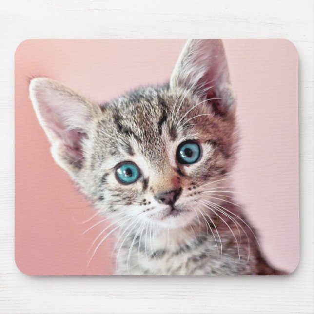 Mousepad Gatinho bonito com olhos azuis (Frente)
