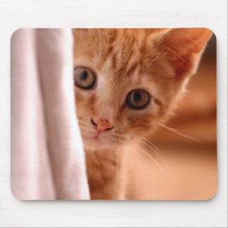 Mousepad Gatinho bonito do caramelo