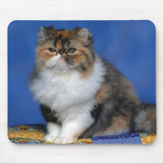 Mousepad Gatinho bonito M003 do gato