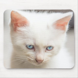 Mousepad Gatinho branco