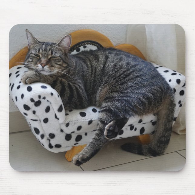Mousepad Gatinho cansado (Frente)