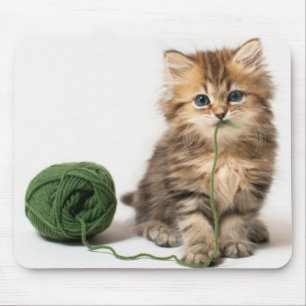 Mousepad Gatinho com fio verde