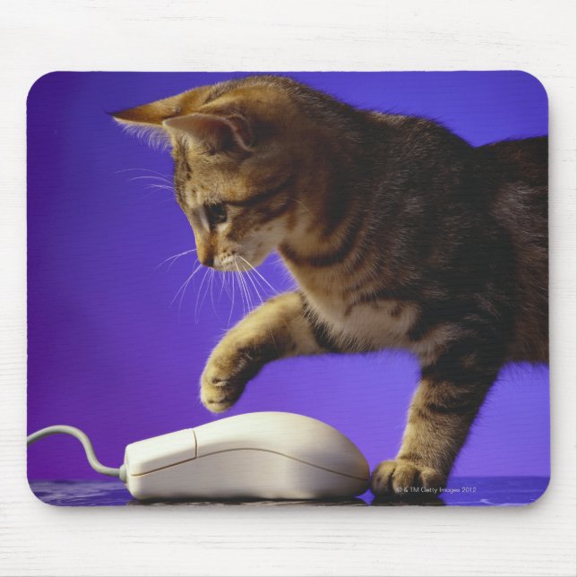 Mousepad Gatinho com mouse do computador (Frente)