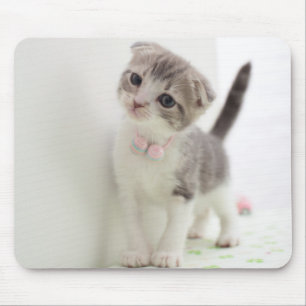 Mousepad Gatinho da dobra do Scottish