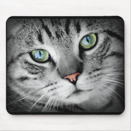Mousepad Gatinho De Gatinho De Gatinho De Cinza Bonito