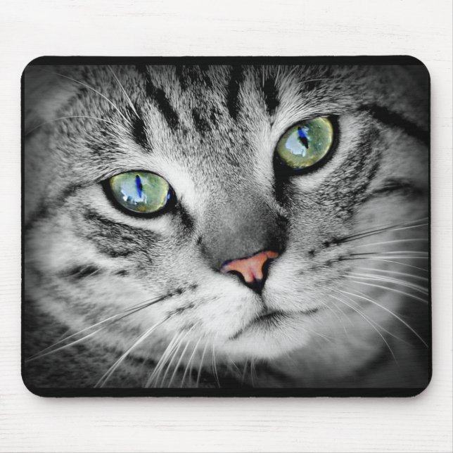 Mousepad Gatinho De Gatinho De Gatinho De Cinza Bonito (Frente)