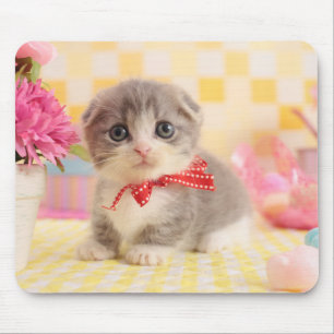 Mousepad Gatinho de Munchkin