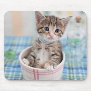 Mousepad Gatinho de Munchkin com fita bonito