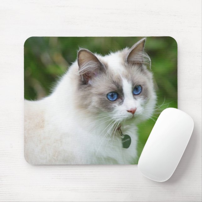 Mousepad Gatinho de Olhos Azuis (Com mouse)