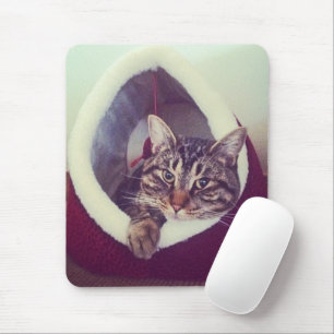 Mousepad Gatinho de Tabby em Hut Foto 70s - Efeito do Filtr