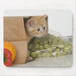 Mousepad Gatinho dentro da bolsa de compra