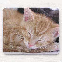 Mousepad Gatinho do sono