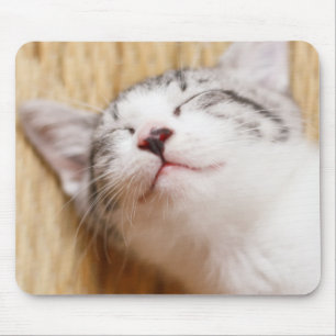 Mousepad Gatinho do sono