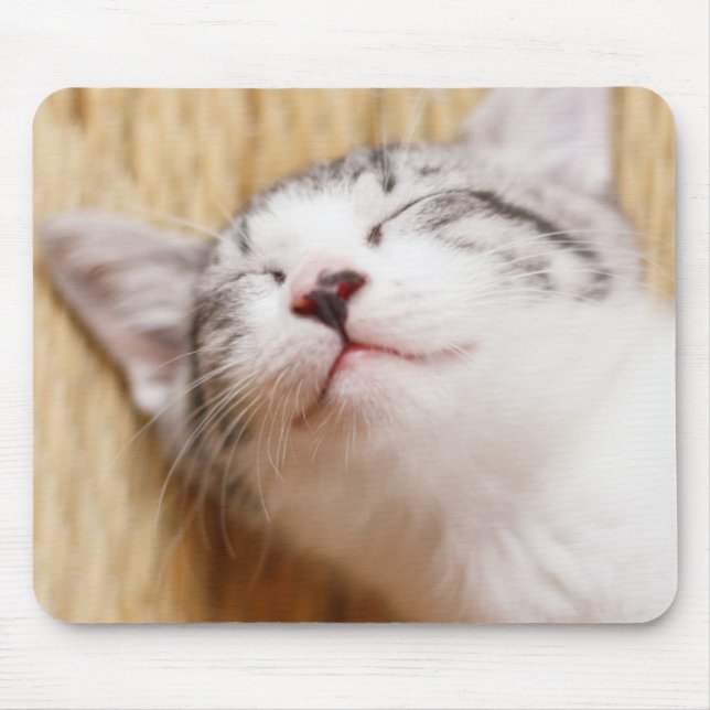 Mousepad Gatinho do sono (Frente)