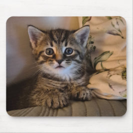 Mousepad Gatinho doce