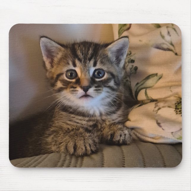 Mousepad Gatinho doce (Frente)