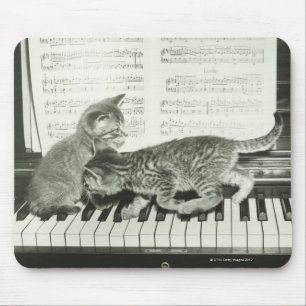 Mousepad Gatinho dois que joga no teclado de piano, (B&W)